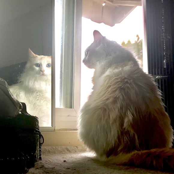 Meet your Posher, Teresa - Picture 8 of 16